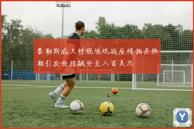 泰勒斯威夫特现场观战座椅拍卖热潮引发价格飙升至八百美元